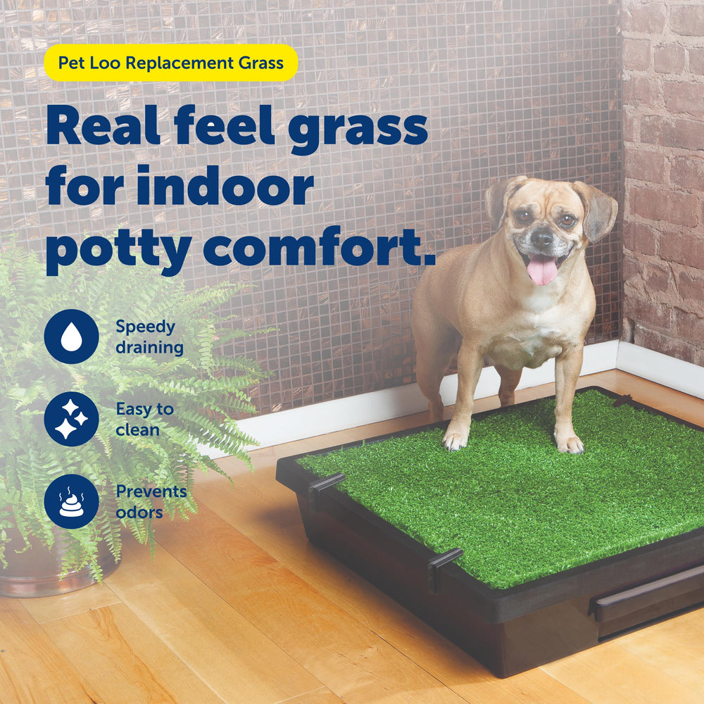 PetSafe emballage du tapis d'herbe Medium prêt à remplacer l'ancienne surface