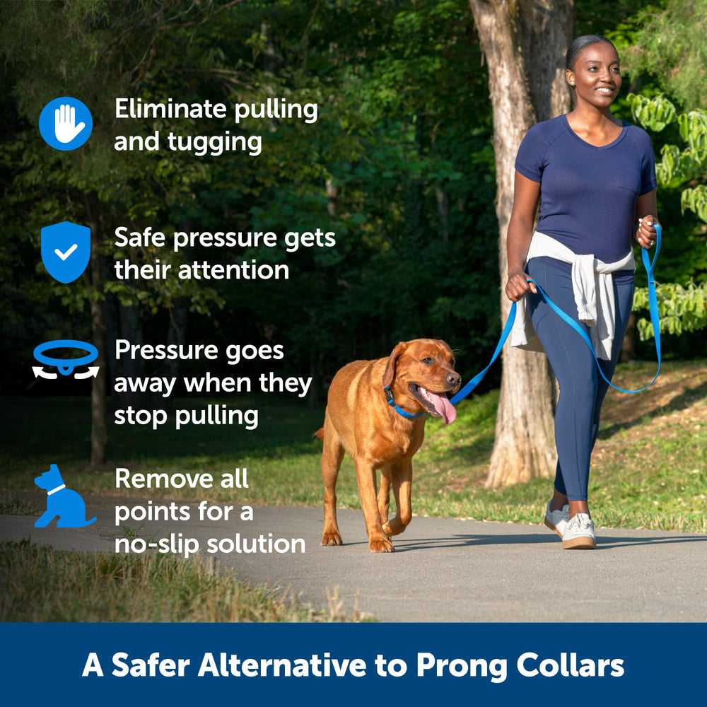 PetSafe zoom sur pointes en caoutchouc pour confort et sécurité