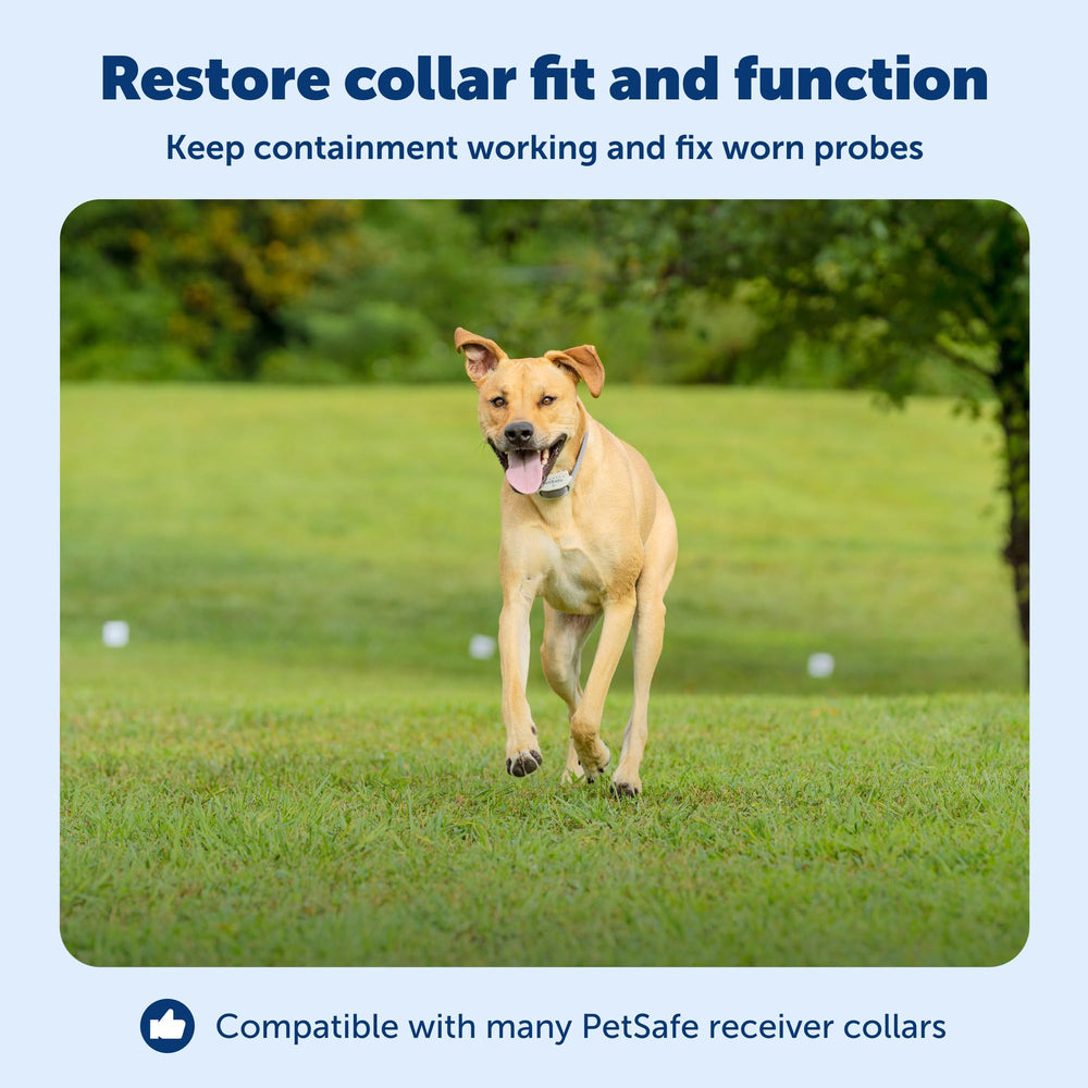PetSafe pointes en usage sur collier assurant bon contact peau