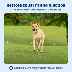PetSafe pointes en usage sur collier assurant bon contact peau