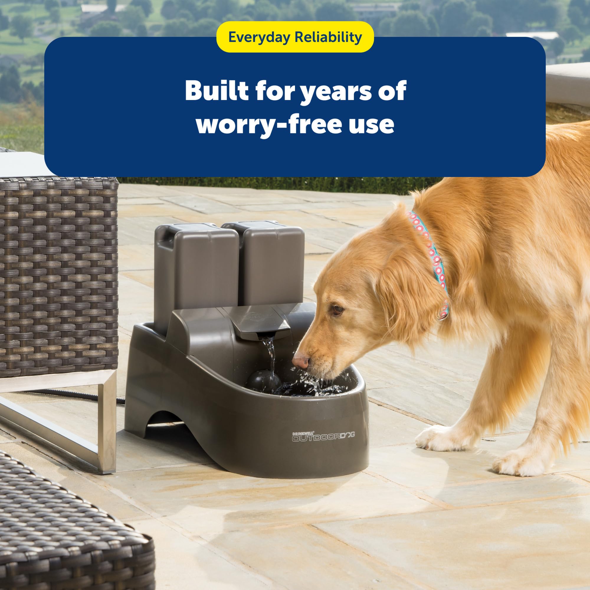 PetSafe pompe démontée montrant pièces faciles à nettoyer et maintenir