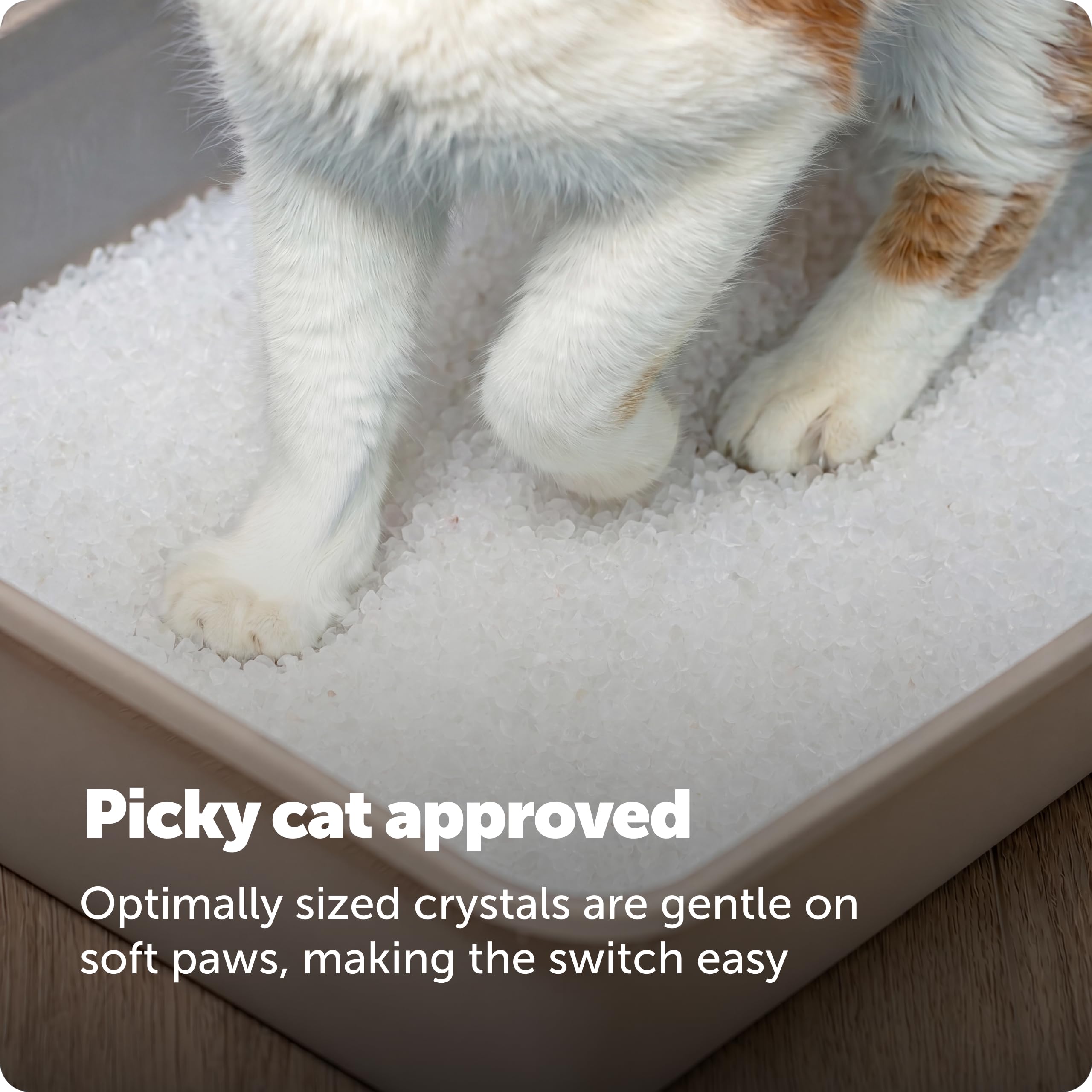 PetSafe sachet ouvert montrant aspect pratique pour recharges rapides