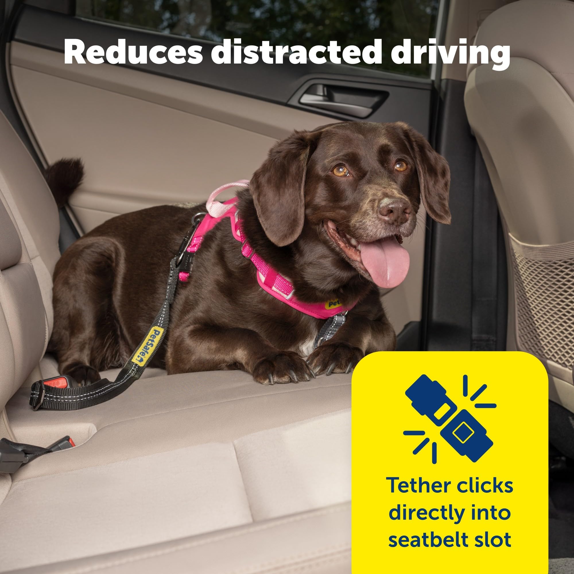 PetSafe gros plan du mousqueton en acier, fixation solide