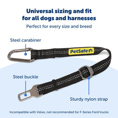 PetSafe texture de la sangle en nylon, résistance et durabilité