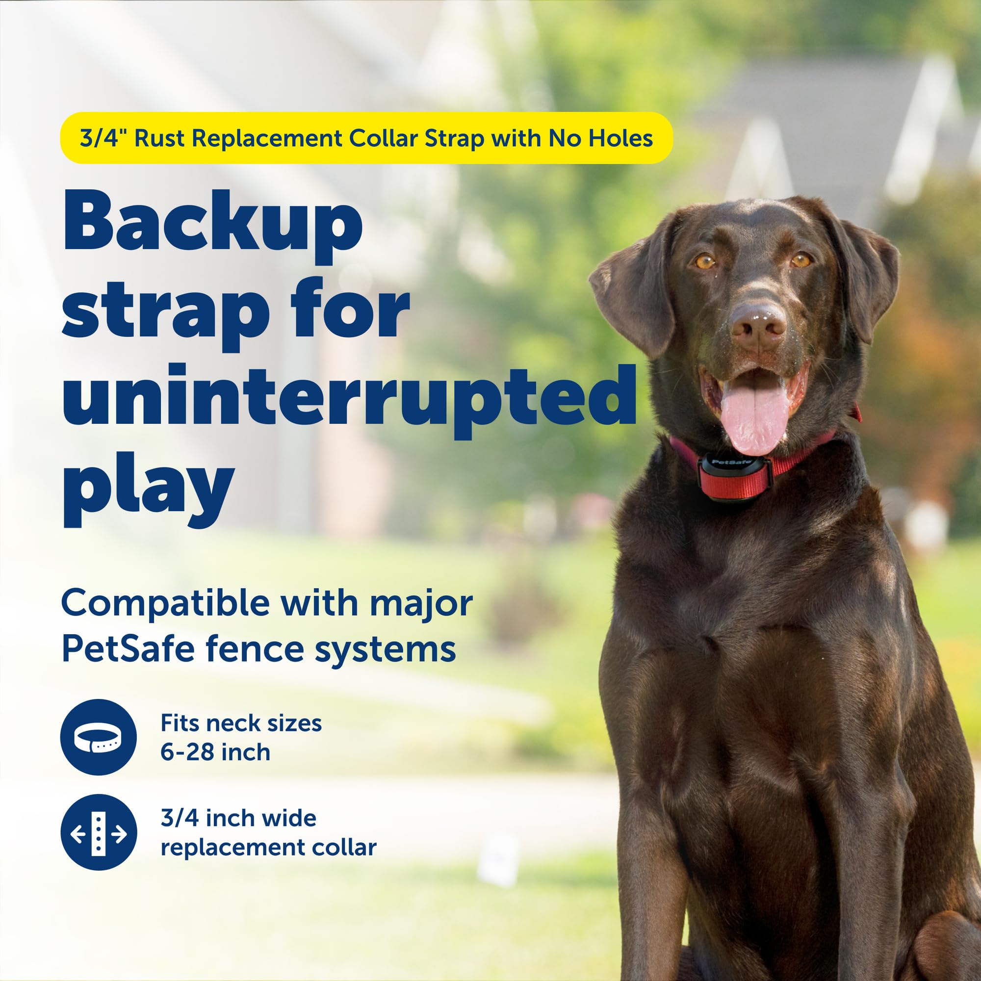 PetSafe gros plan sur matière de la sangle montrant durabilité et confort