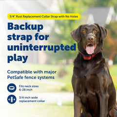PetSafe gros plan sur matière de la sangle montrant durabilité et confort