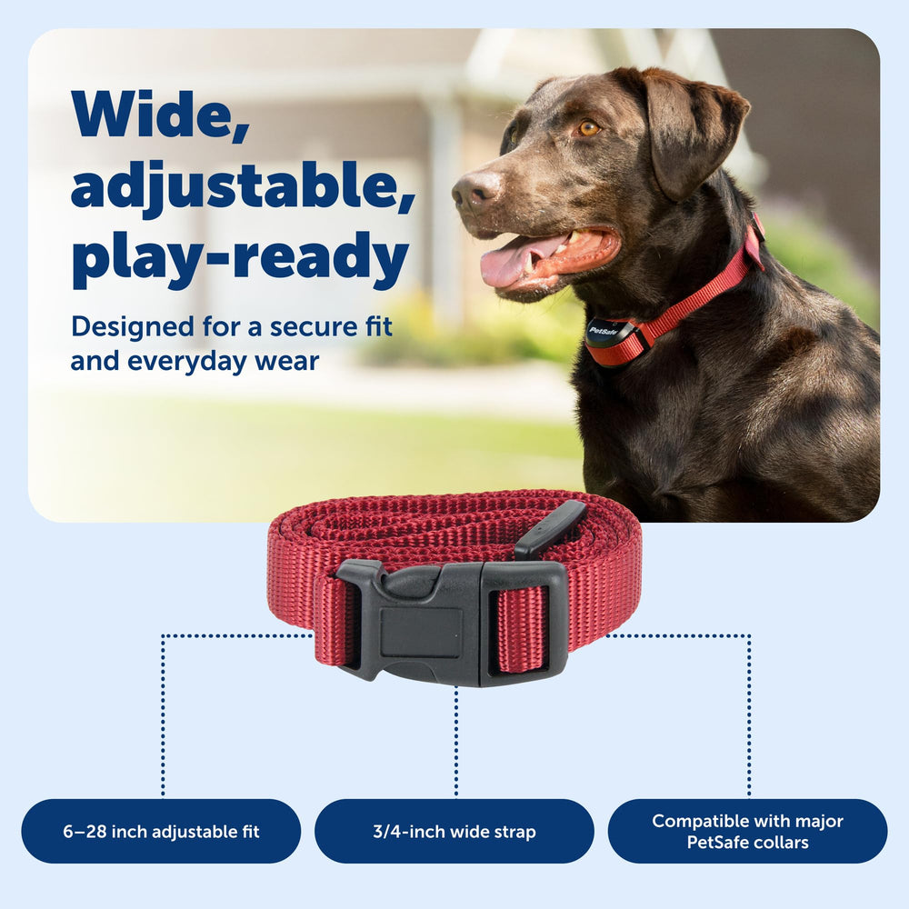 PetSafe sangle posée sur règle montrant ajustement pour tours de cou 6–28 pouces