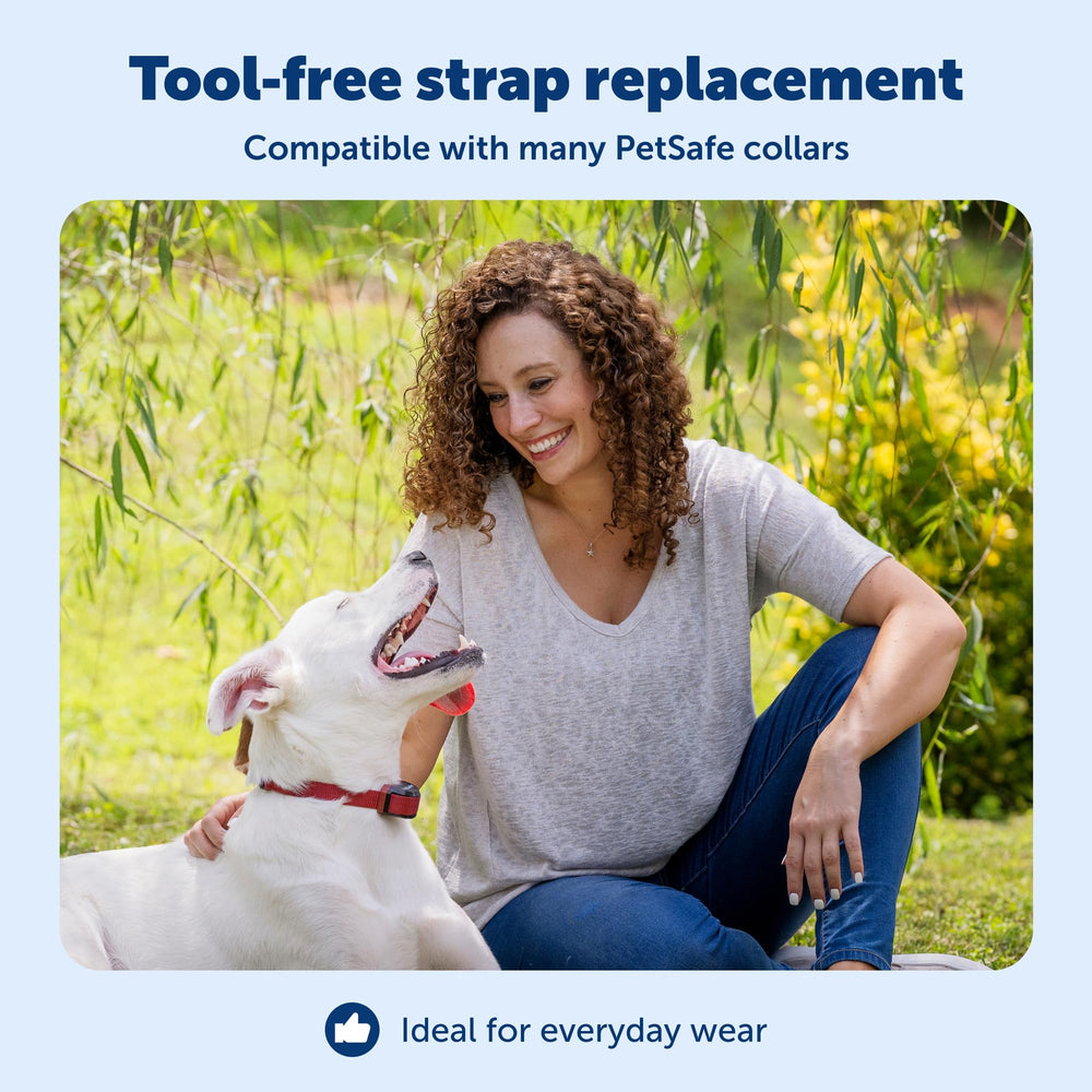 PetSafe détail de la boucle et fixation assurant maintien fiable du récepteur