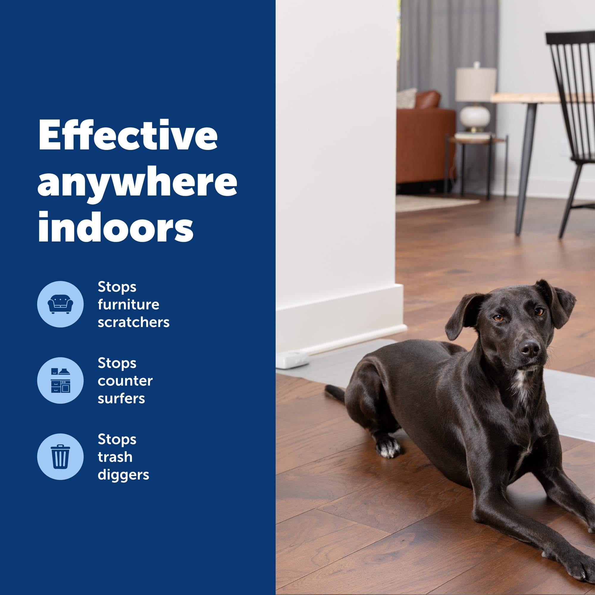 PetSafe ScatMat dimension comparée à un canapé, couverture adaptée large