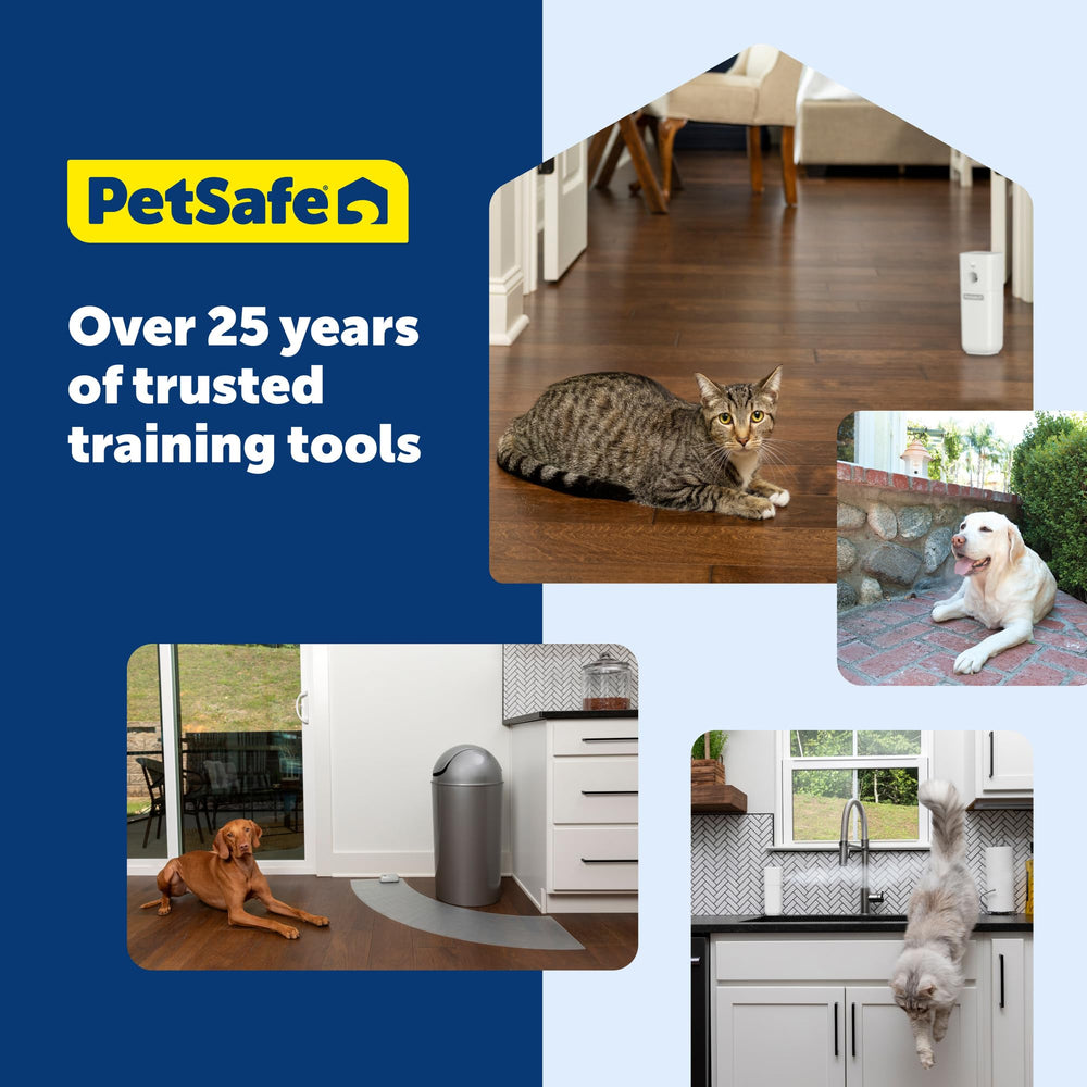 PetSafe ScatMat dans un salon près du sapin, protection discrète et mobile