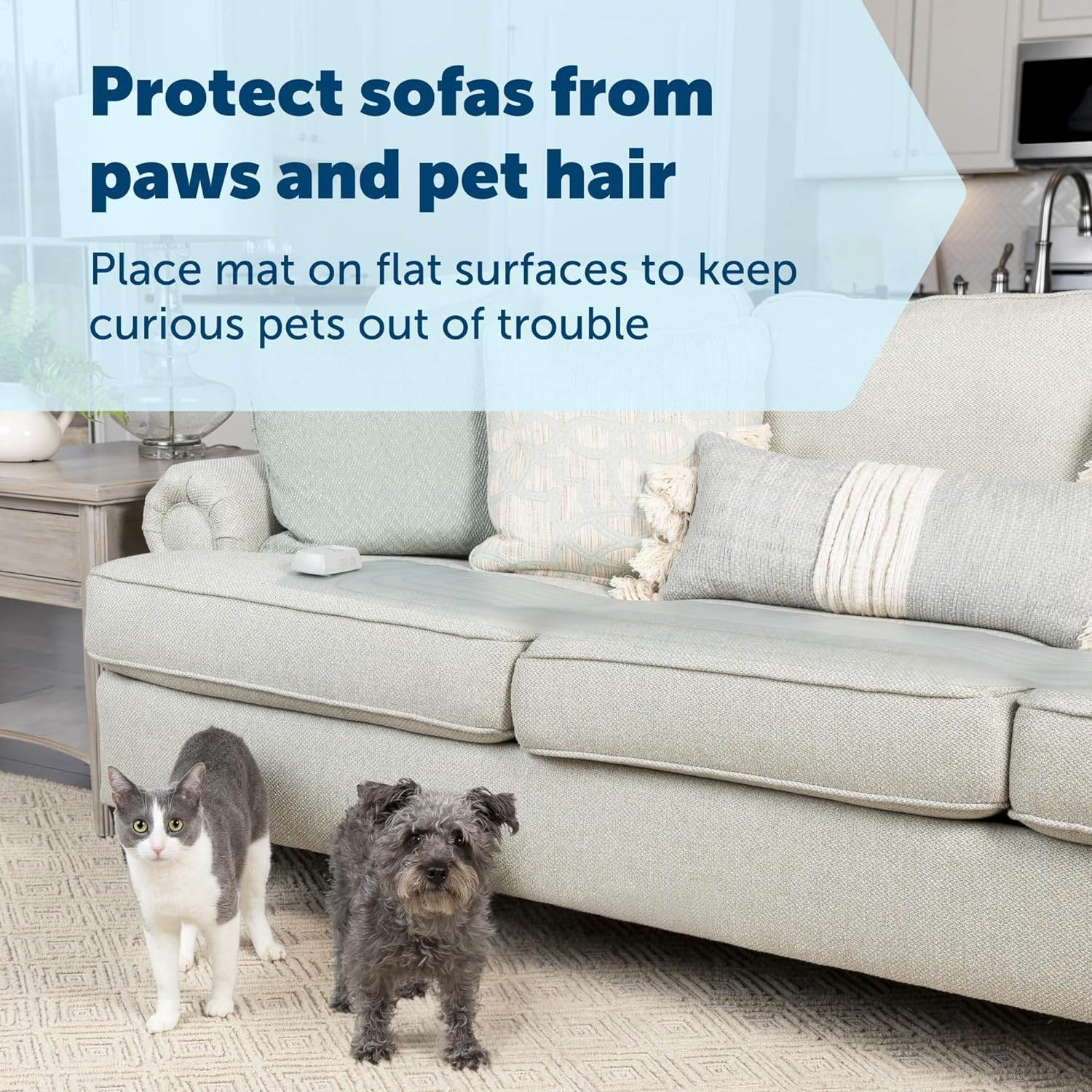PetSafe ScatMat gros plan sur texture du tapis offrant sensibilité au contact