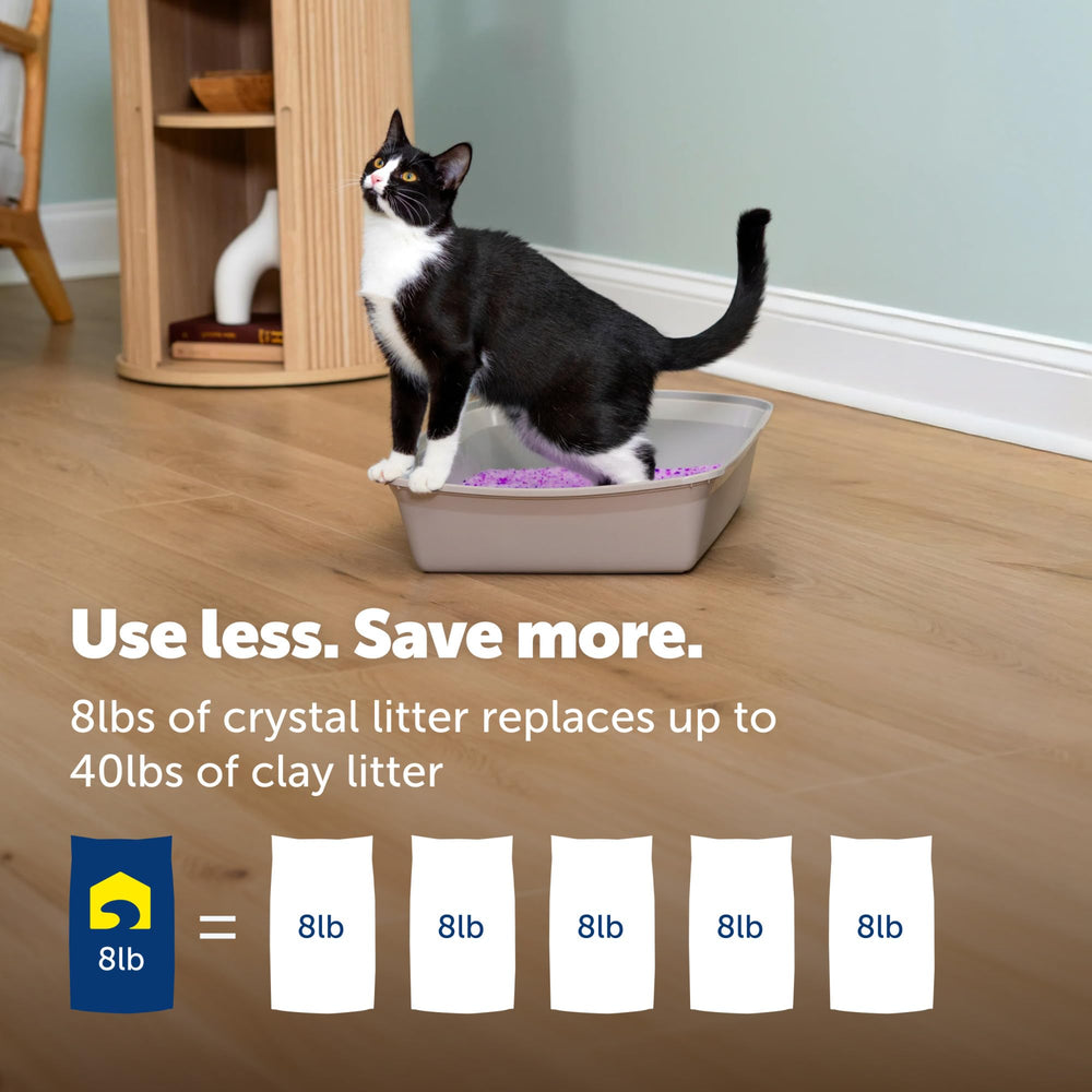 PetSafe chat utilisant la litière, confort du chat et maison plus propre