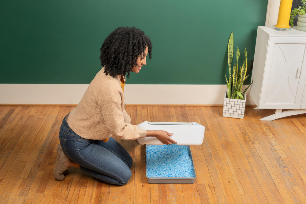 PetSafe bac installé dans une cuisine moderne montrant hygiène et esthétique