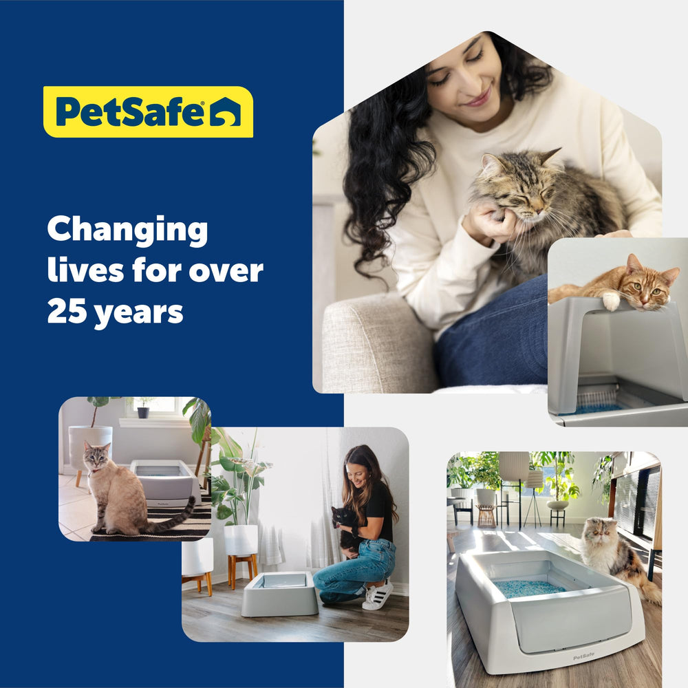 PetSafe scène de vie avec chat près du bac, confort et propreté