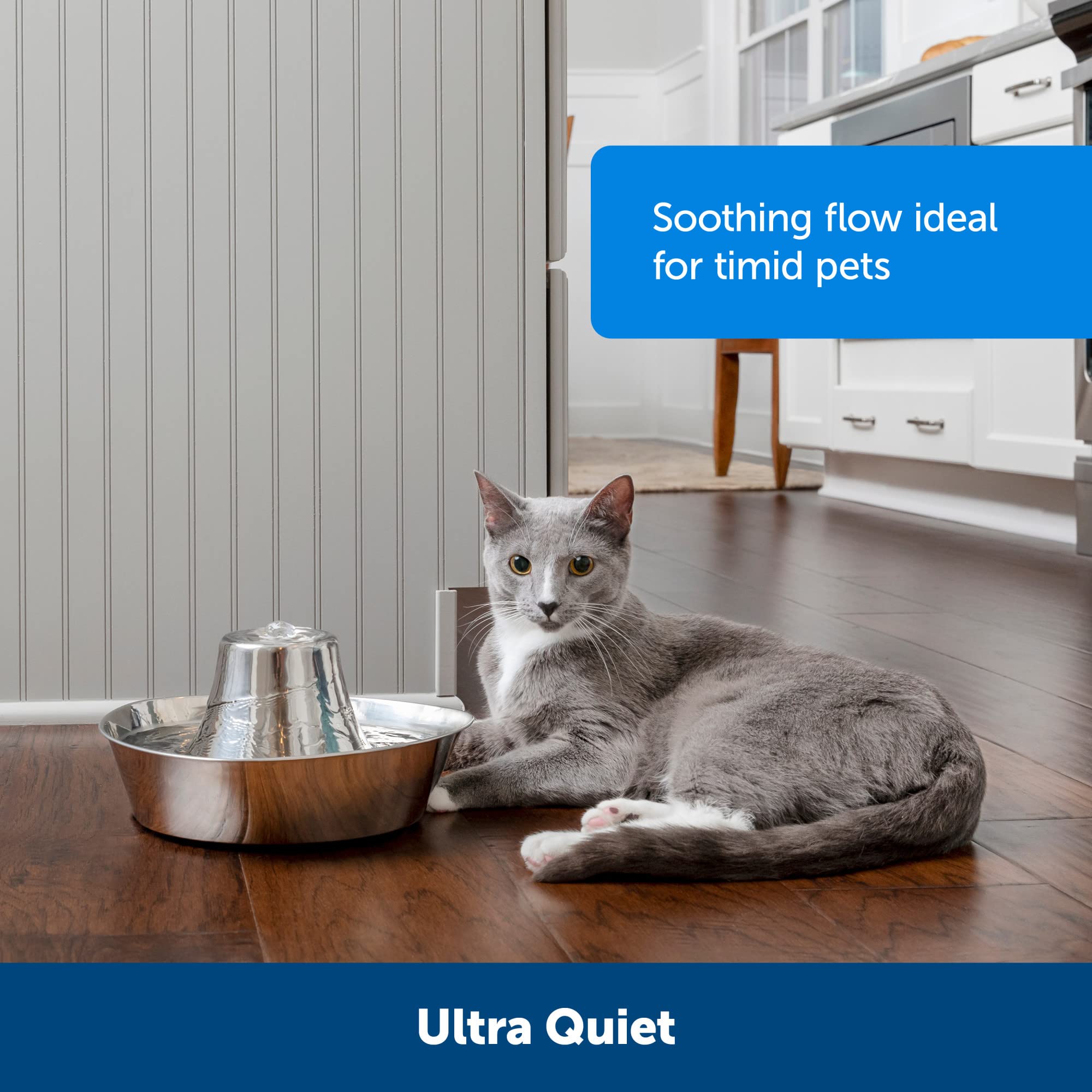 PetSafe gros plan sur la texture inox résistante et hygiénique