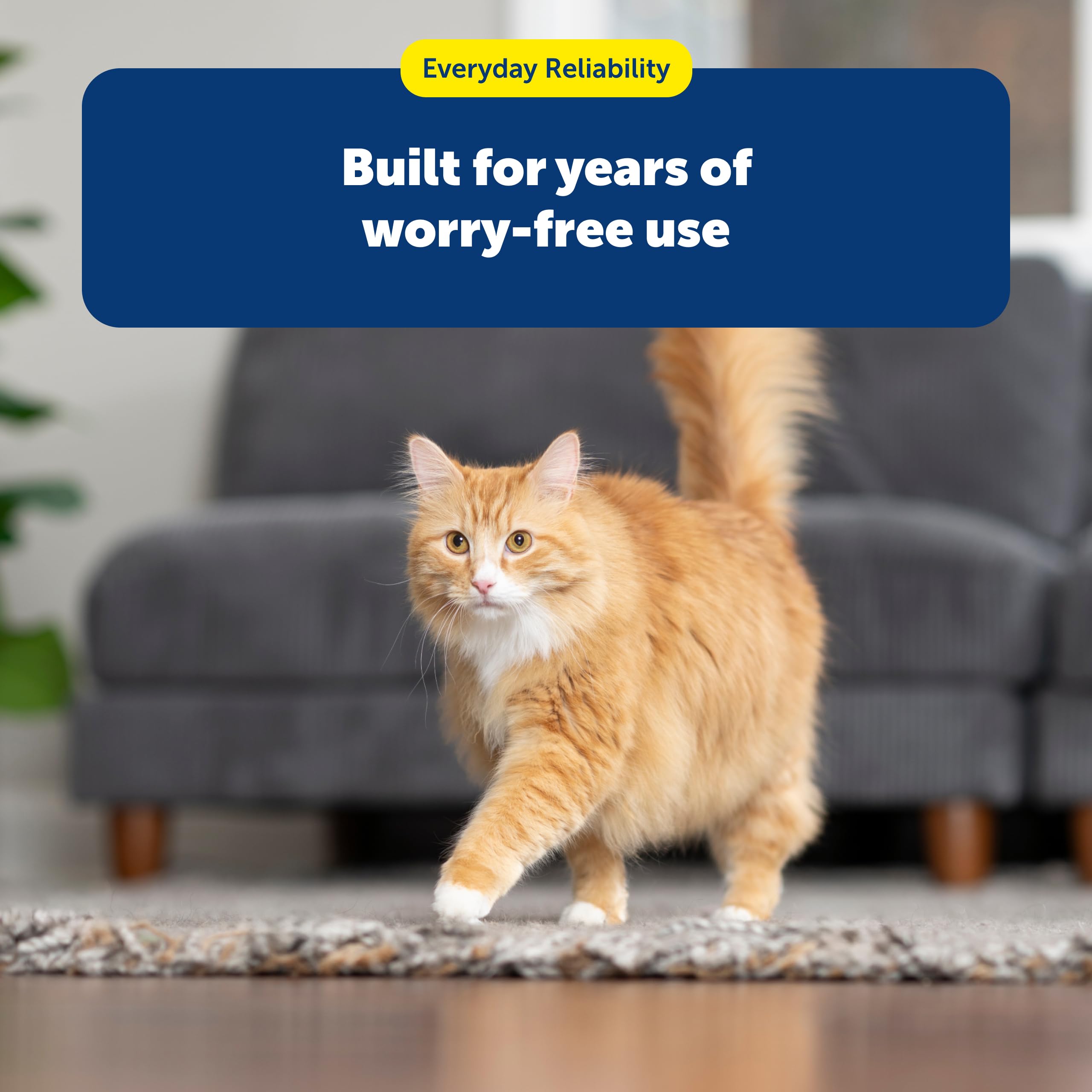 PetSafe petit chien buvant montrant usage multi-animaux et facilité
