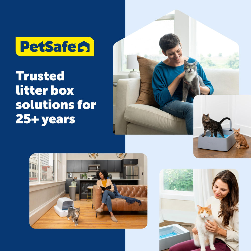 PetSafe SmartSpin application mobile affichant données de santé instantanées