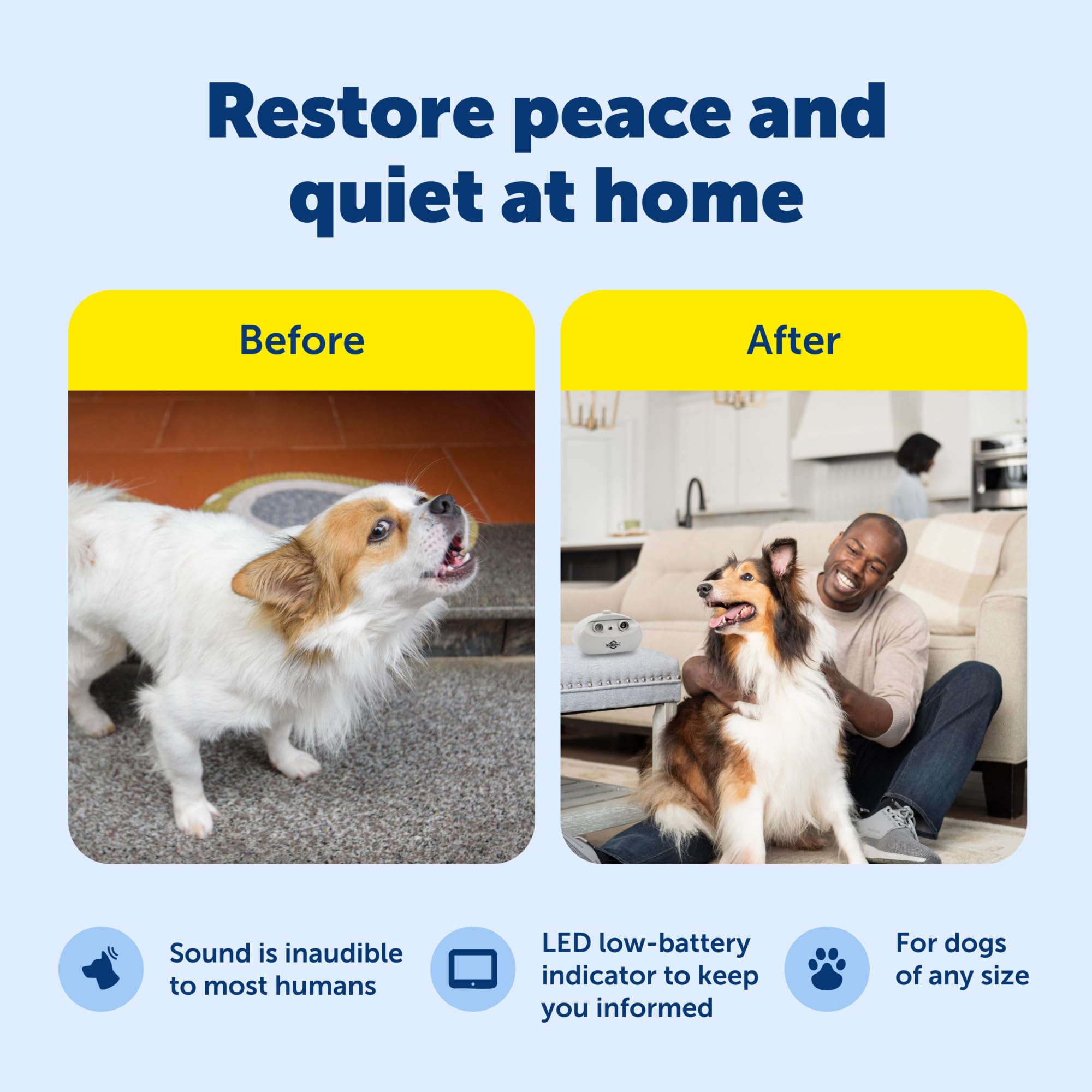 PetSafe posé sur un comptoir avec chien calme montrant réduction du bruit