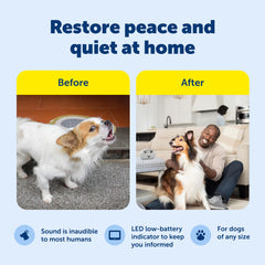 PetSafe posé sur un comptoir avec chien calme montrant réduction du bruit