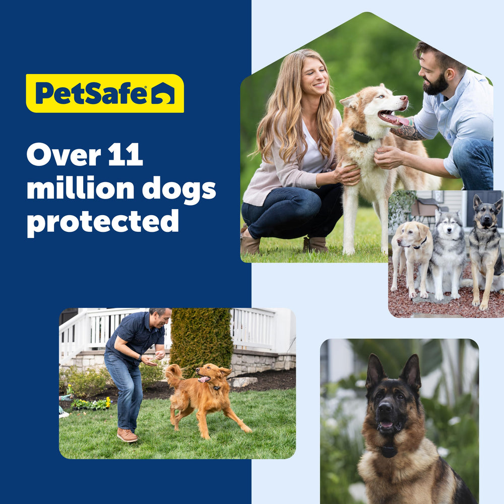Système PetSafe utilisé en camping, portable et pratique