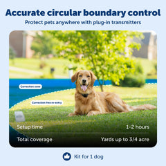 Installation PetSafe en jardin avec chien jouant sécurisé dans la zone