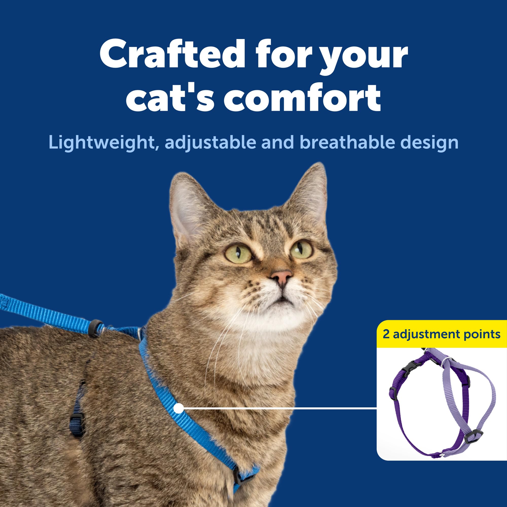 PetSafe comparaison taille montrant ajustement précis et adapté