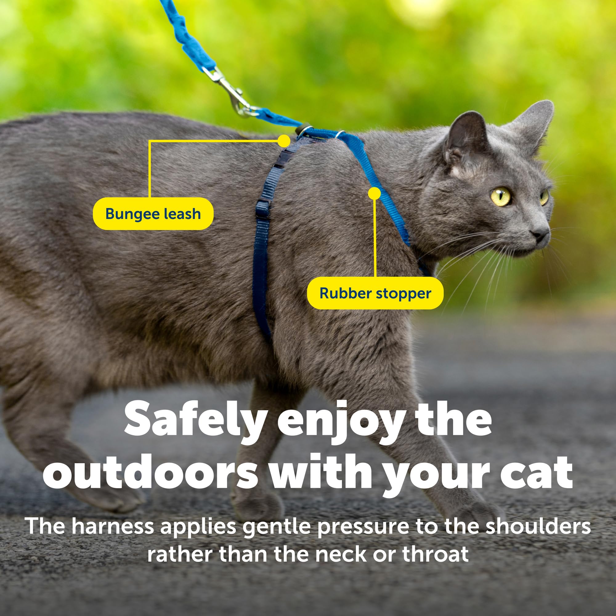 PetSafe harnais taille large posée à côté d’un mètre pour comparaison