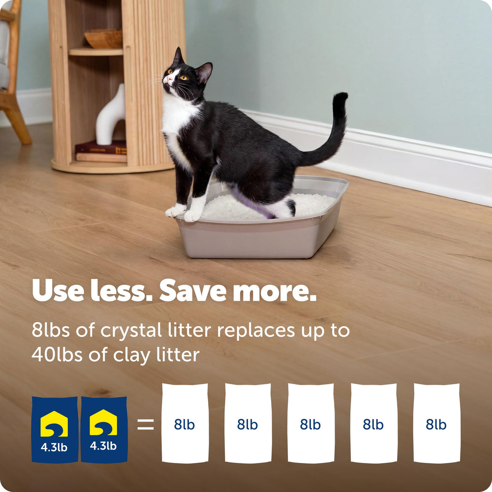 PetSafe détail de texture montrant faible poussière et faible adhérence