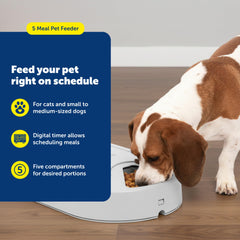 PetSafe gros plan du plateau rotatif révélant compartiments et capacité utile