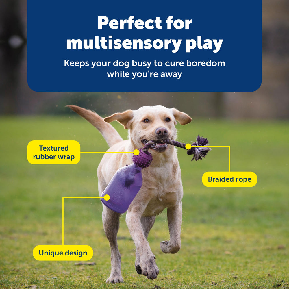 PetSafe chien tenant le Tug-A-Jug pendant jeu interactif et récompense