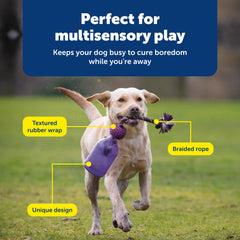 PetSafe chien tenant le Tug-A-Jug pendant jeu interactif et récompense