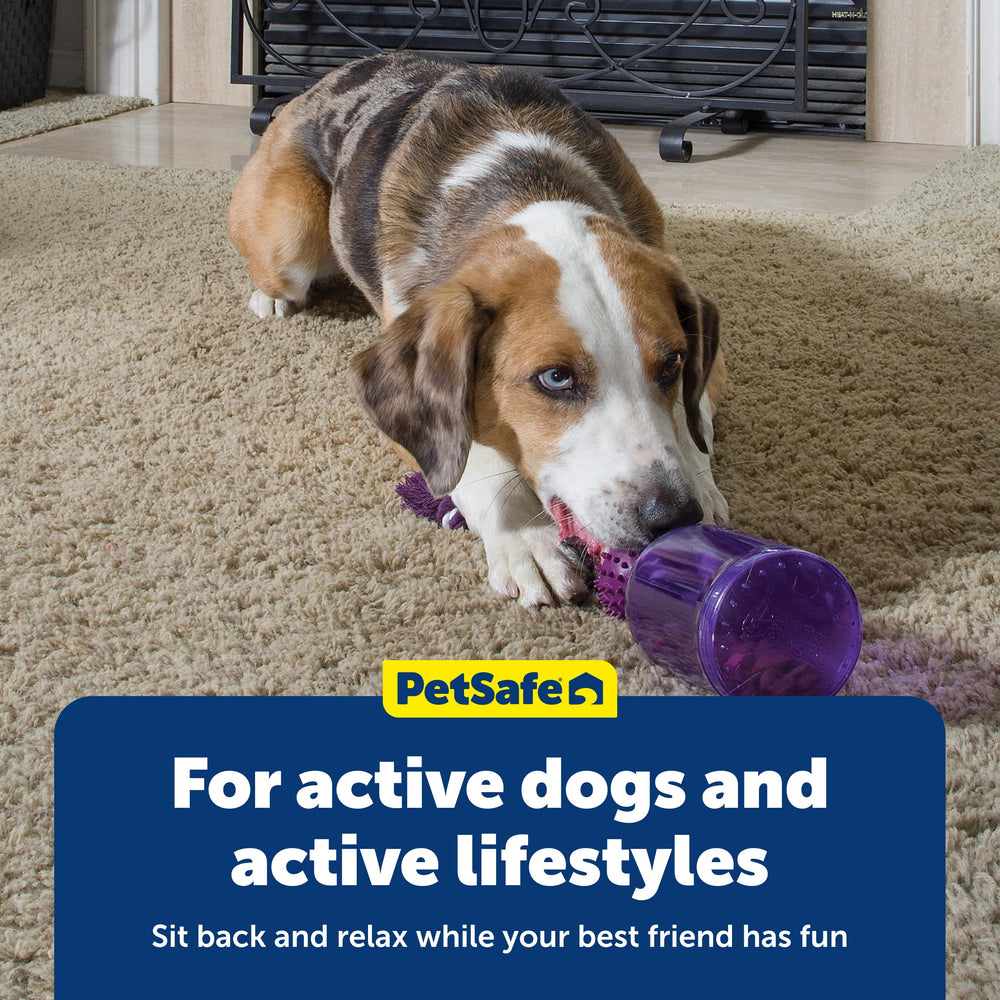 PetSafe Tug-A-Jug mécanisme interne visible pour distribution aléatoire