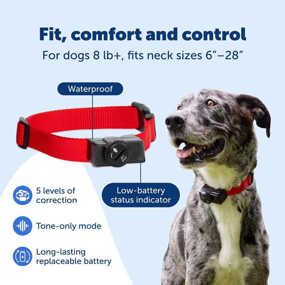 PetSafe système utilisé en camping, portabilité et praticité démontrées