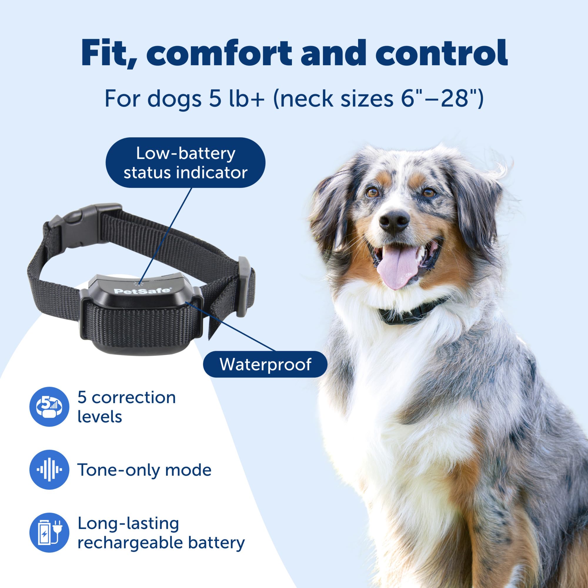Collier PetSafe YardMax posé à côté d'une règle pour comparaison de taille pratique
