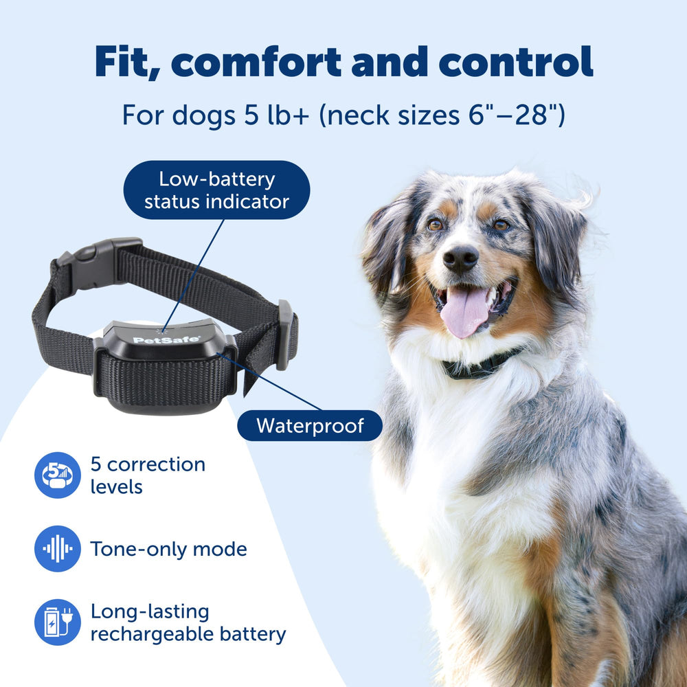 Collier PetSafe YardMax posé à côté d'une règle pour comparaison de taille pratique
