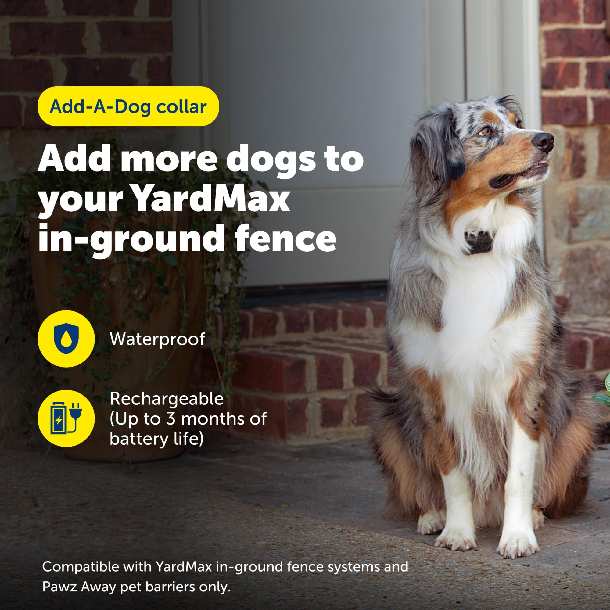 Vue arrière du collier PetSafe YardMax avec boucle réglable pour confort optimal
