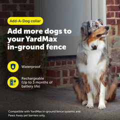 Vue arrière du collier PetSafe YardMax avec boucle réglable pour confort optimal
