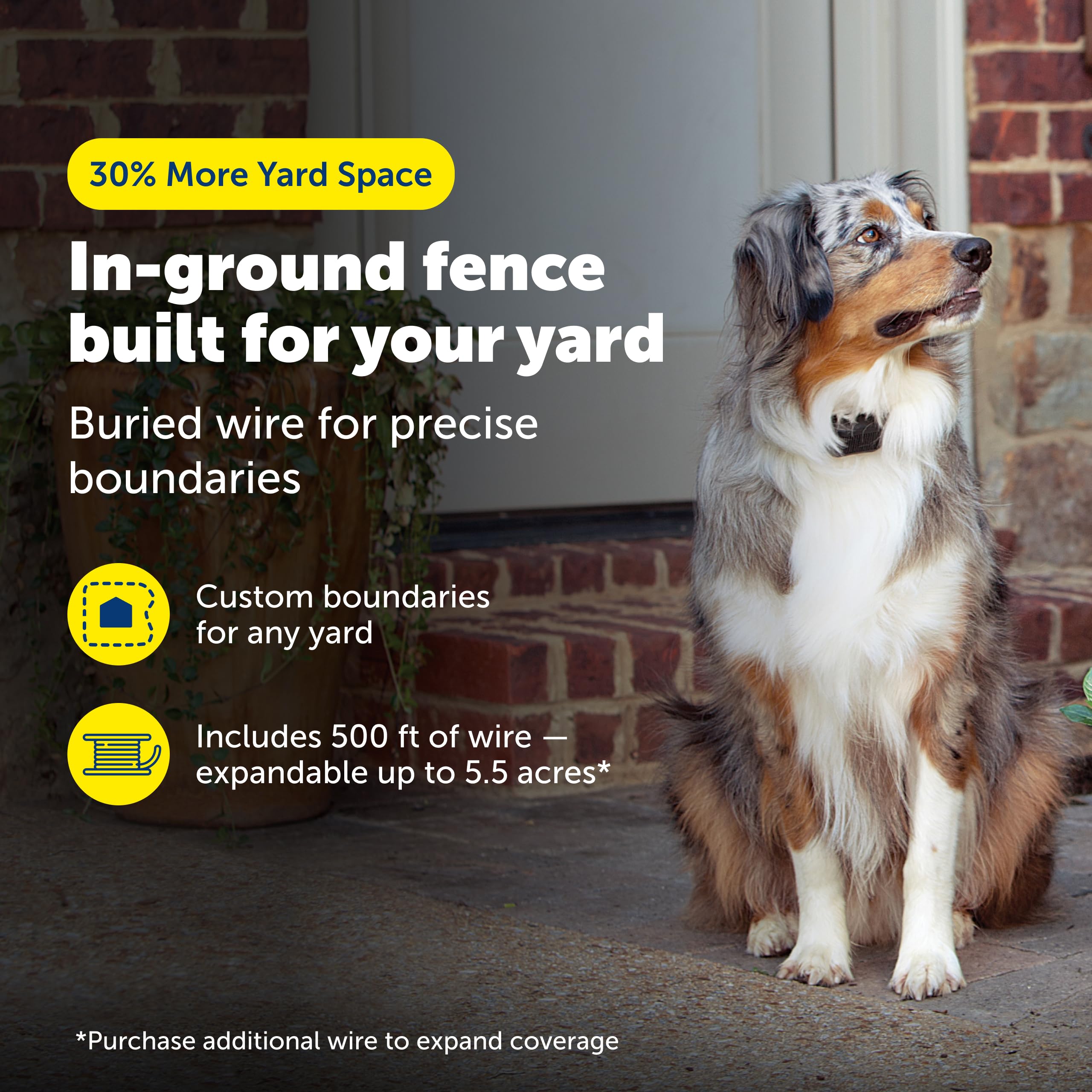 PetSafe collier gros plan illustrant confort et réglages faciles