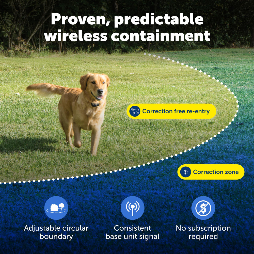 PetSafe gros plan points de contact pour contact fiable et constant