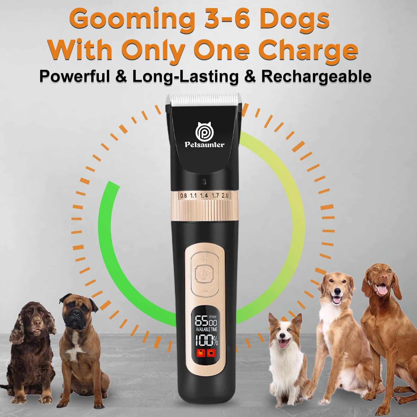 Petsaunter scène toilettage lifestyle pour montrer usage domestique professionnel