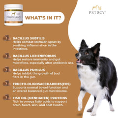 Chien acceptant une friandise Petscy bénéfice apport probiotique pratique