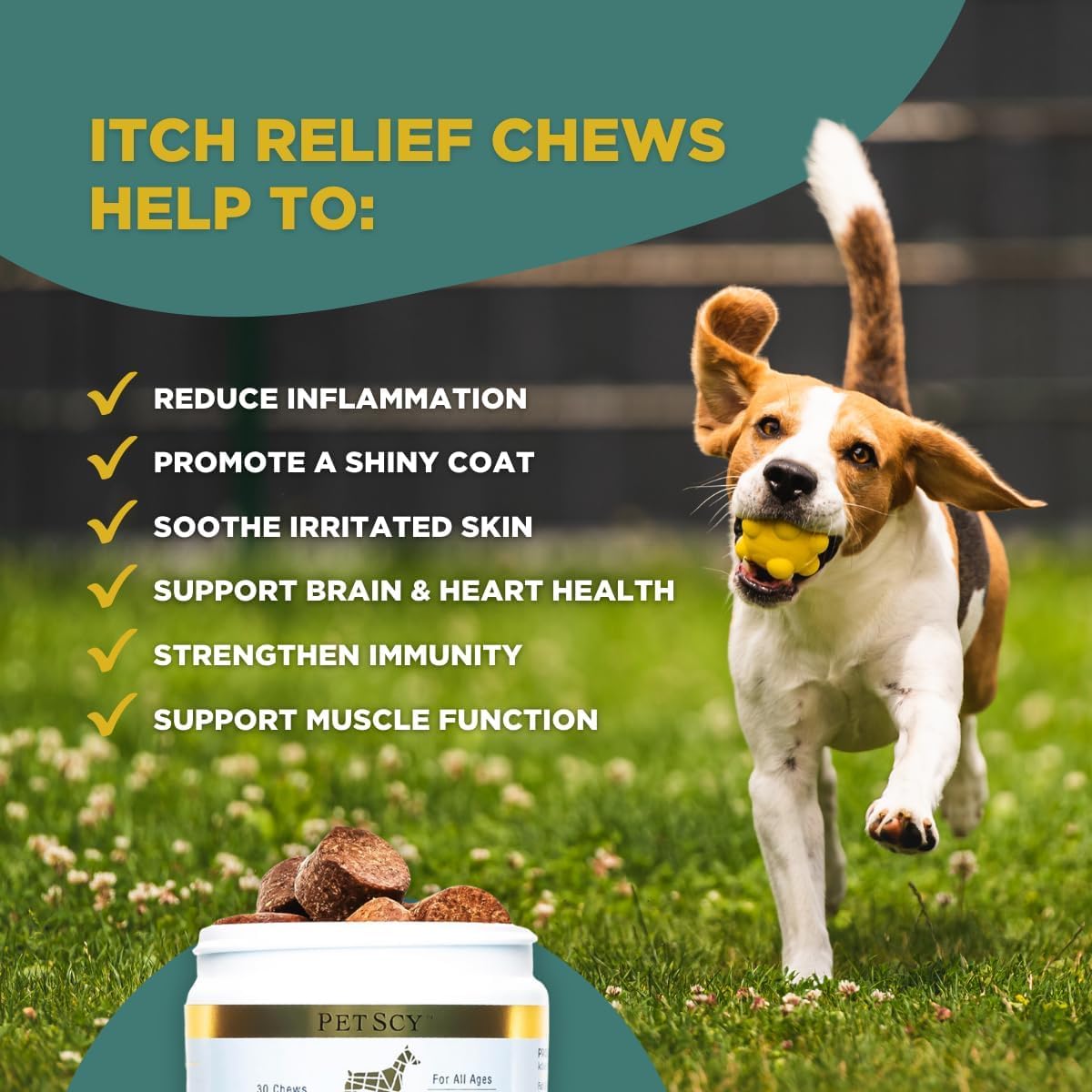 Gros plan sur la texture d'un chew Petscy montrant appétence et qualité