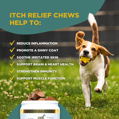 Gros plan sur la texture d'un chew Petscy montrant appétence et qualité