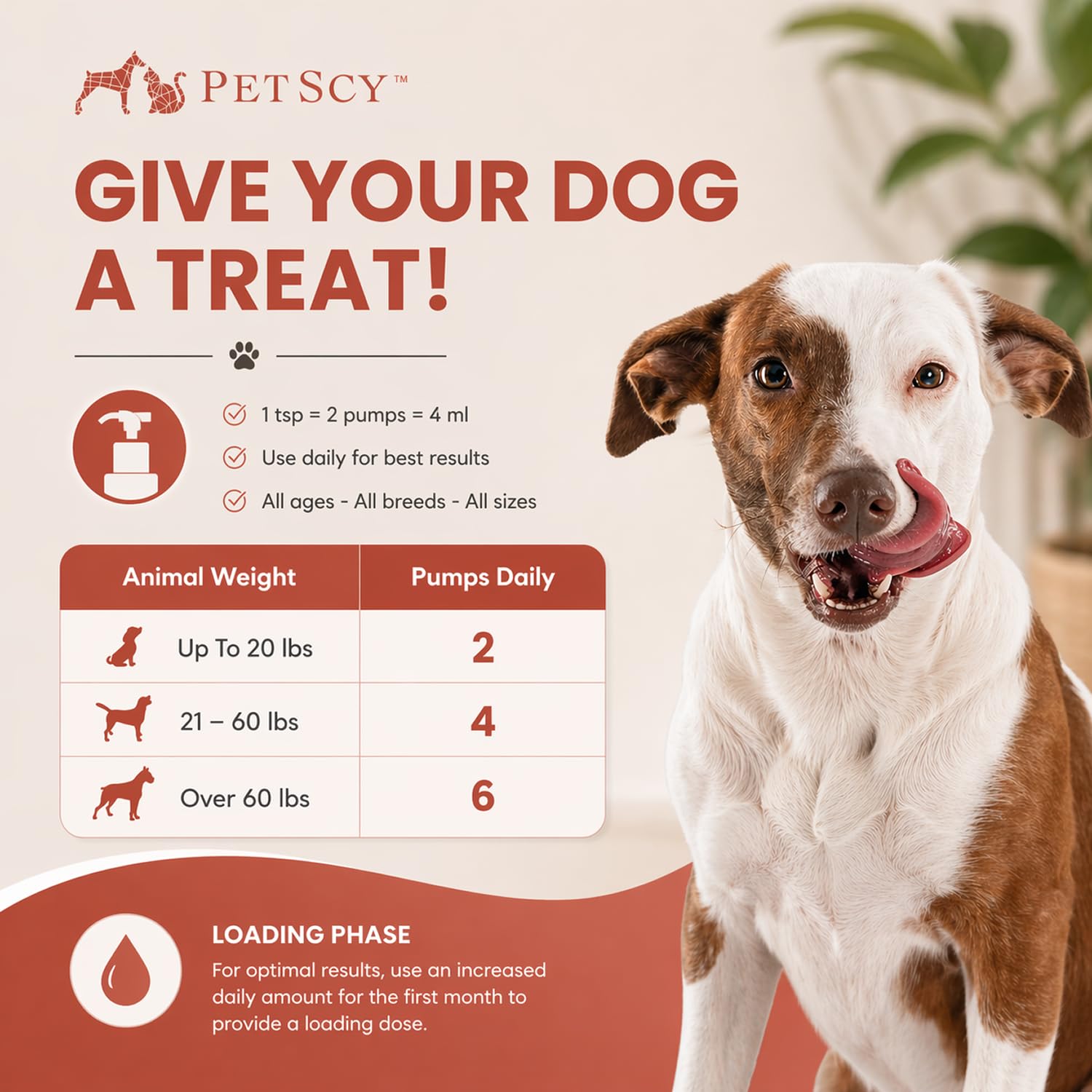 Petscy étiquette détaillant ingrédients purs et origine durable