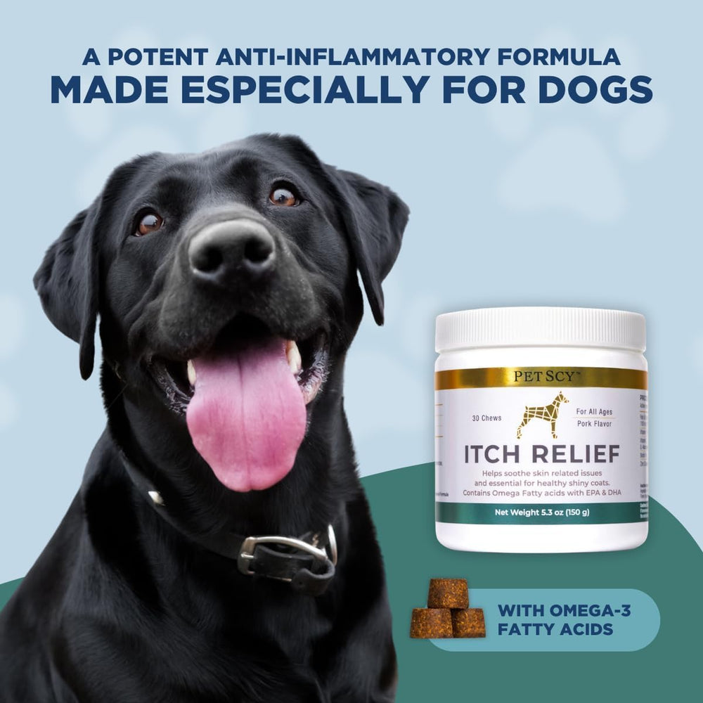 Mise en scène cuisine avec Petscy chews soulignant usage quotidien pratique
