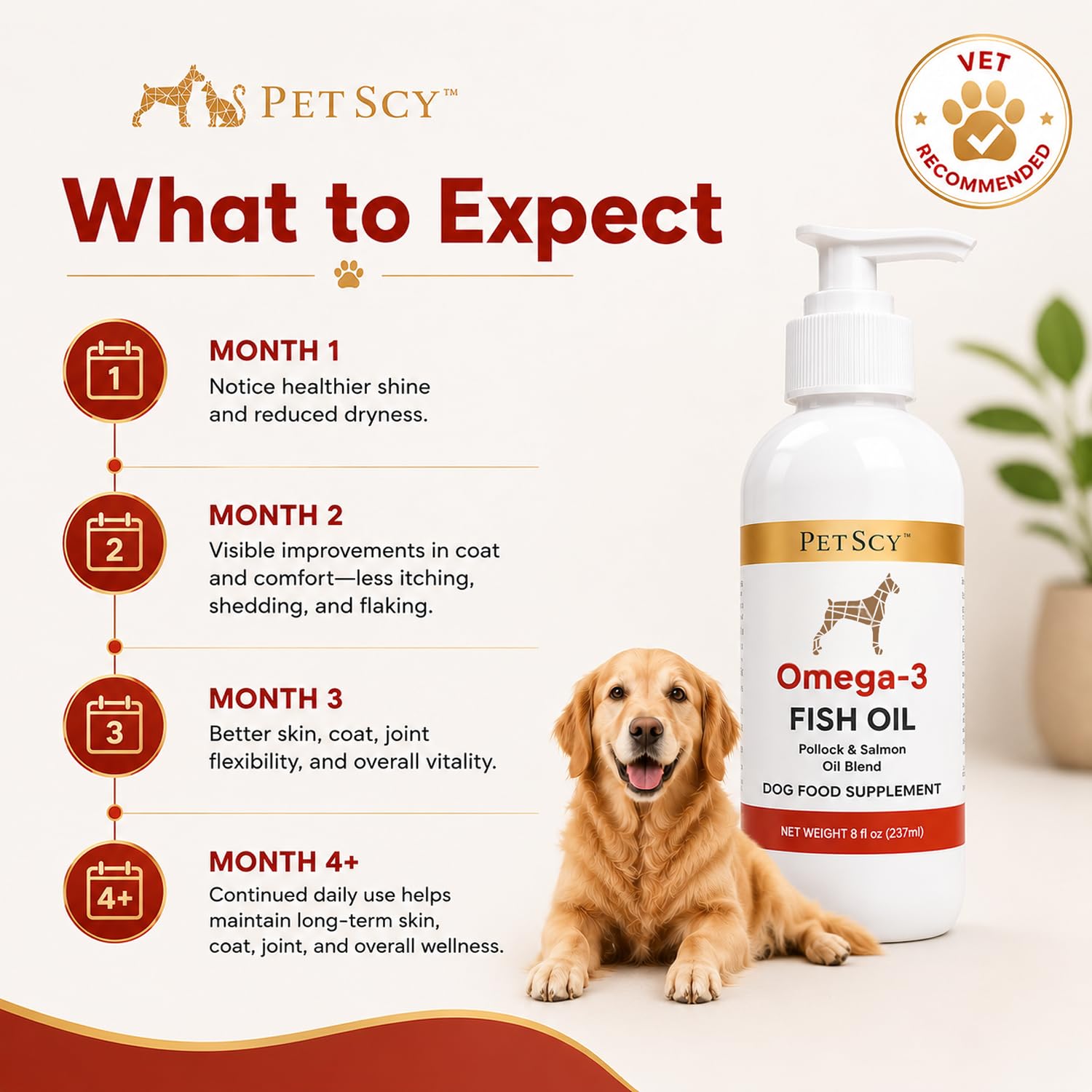 Petscy packaging ouvert montrant contenu et instruction d'utilisation