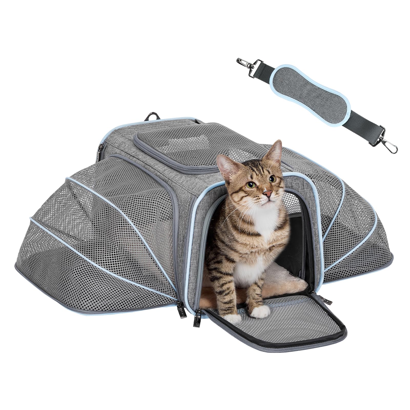 Petsfit vue avant avec poignées, facile à porter et pratique