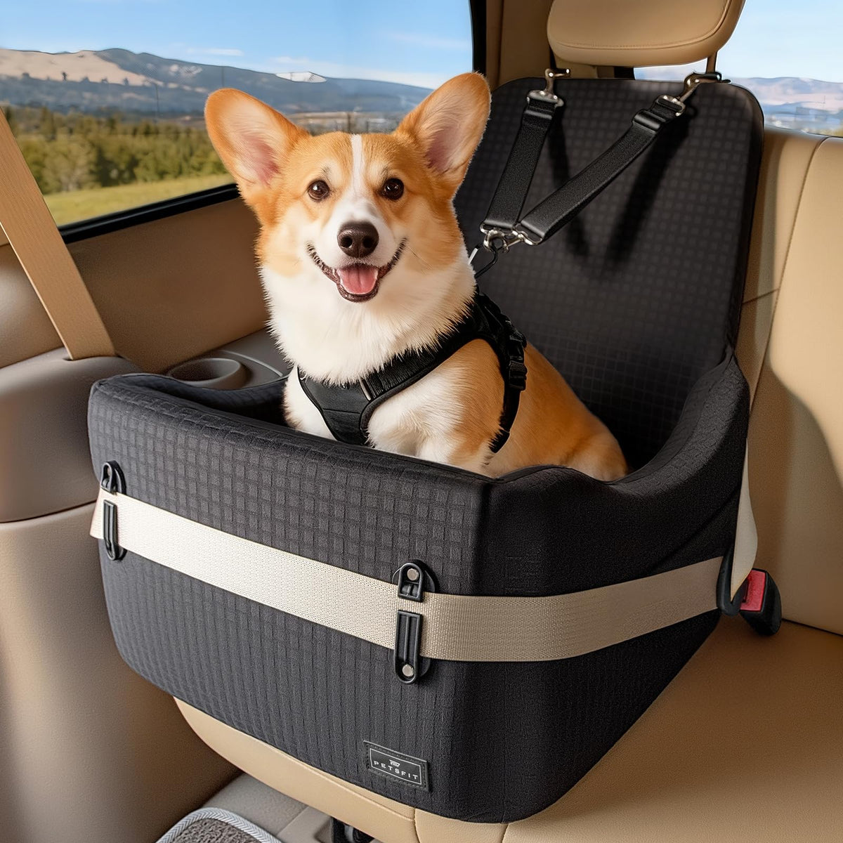 Petsfit siège auto face avant montrant maintien et confort