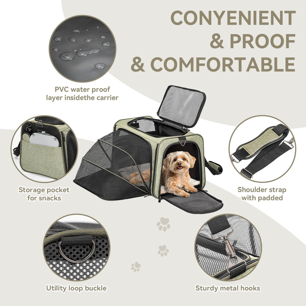 Petsfit placé sous siège d'avion montrant compatibilité cabine et gain d'espace