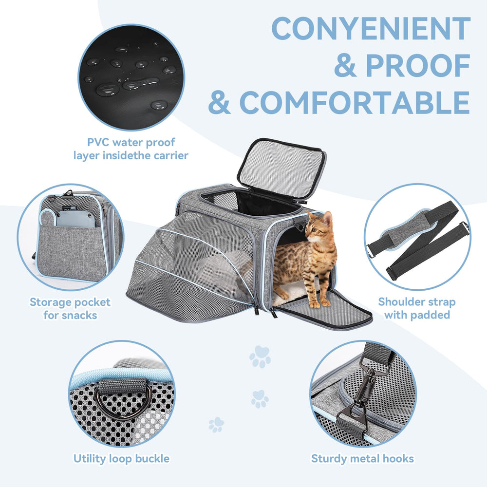 Petsfit fixé sur valise à roulettes pour un voyage sans effort